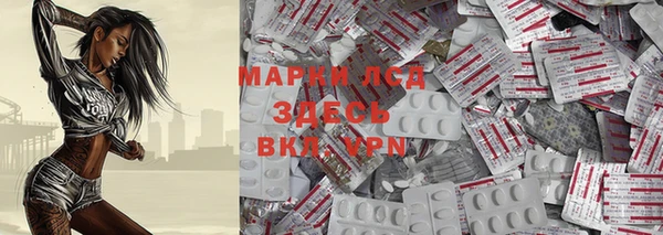 spice Сатка