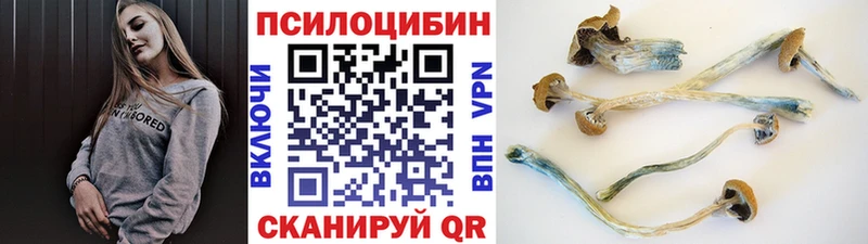 кракен ссылки  Елизово  Псилоцибиновые грибы прущие грибы 