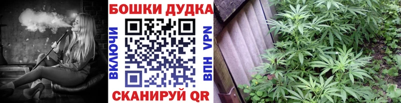 omg ссылки  Елизово  Каннабис план 
